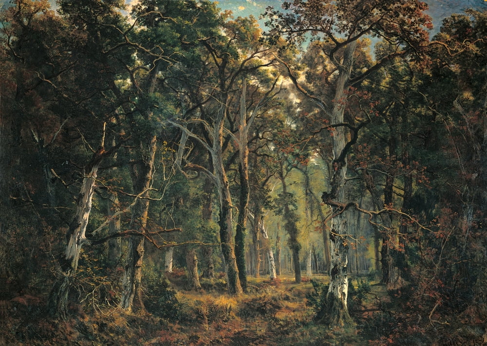 The Forest Of Fontainebleau Canvas Art -  (36 x 24)