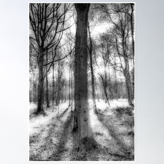 The Forest Of Ghosts Poster Wall Art, Modern Wall Decor, 8x12 UNFRAMED