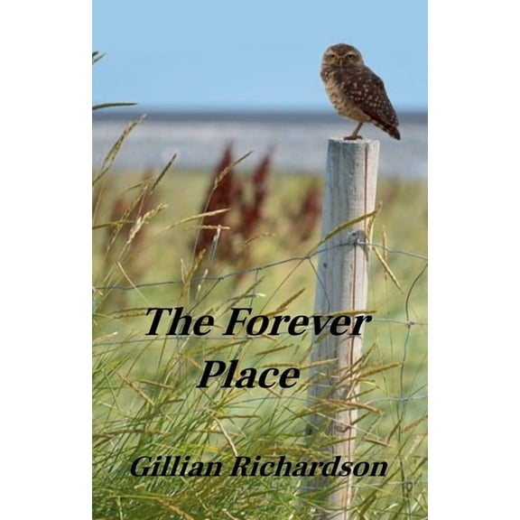 The Forever Place, (Paperback)