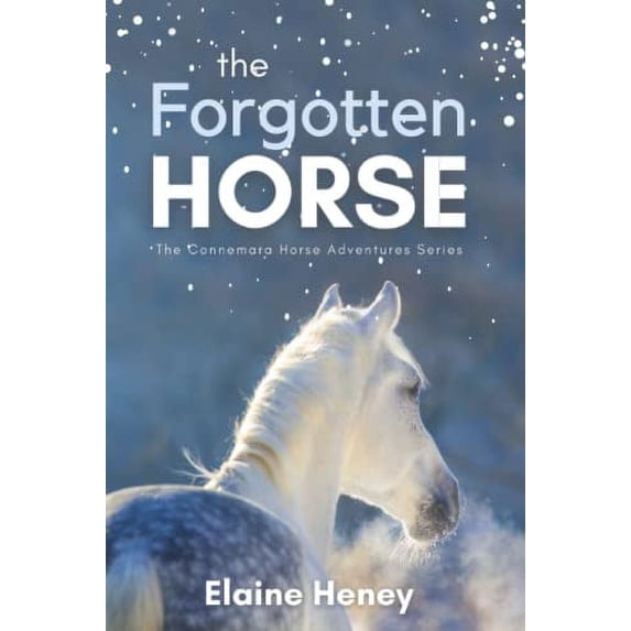 Pre-Owned The Forgotten Horse - Book 1 in the Connemara Horse Adventure Series for Kids. The perfect gift for children age 8-12. (Paperback) 0955265347 9780955265341