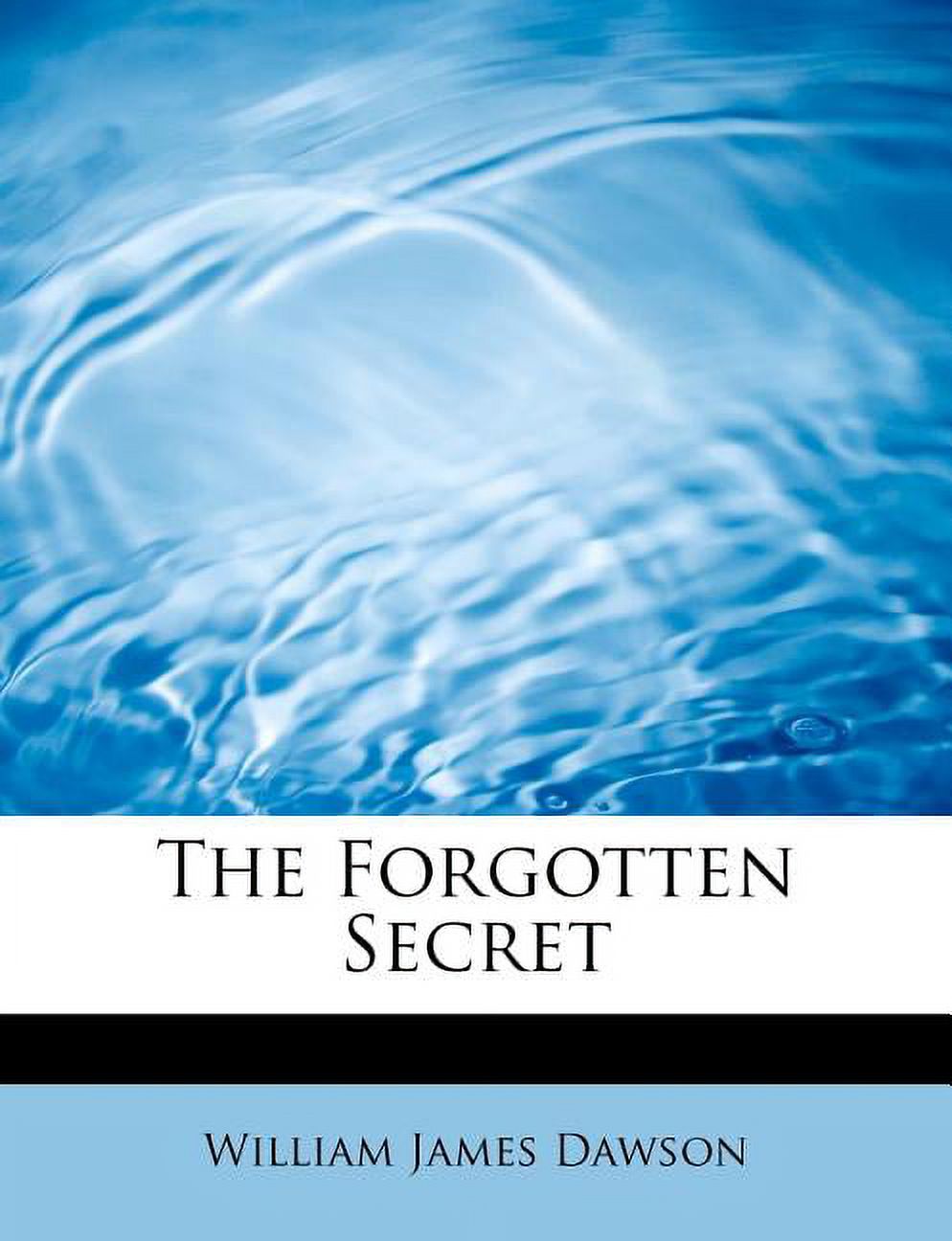 The Forgotten Secret (Paperback)
