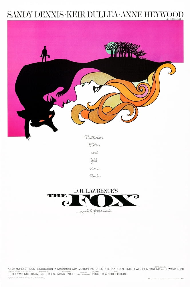 The Fox U Canvas Art - (24 x 36)