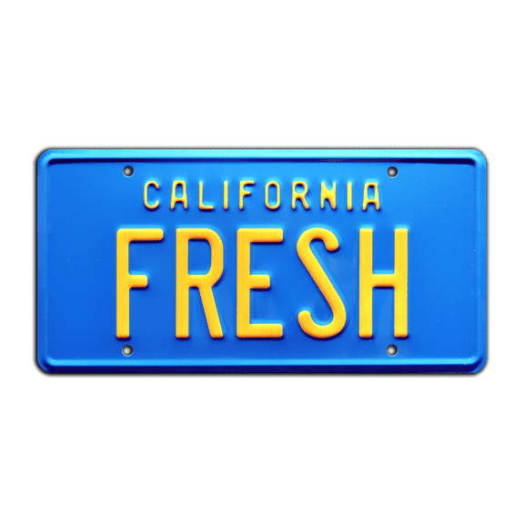 The Fresh Prince of Bel Air | Taxi | FRESH | Metal Stamped Replica Prop License Plate