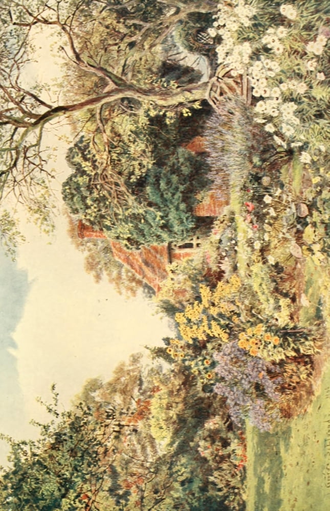 The Friendship Garden Canvas Art - George S Elgood (18 x 24)