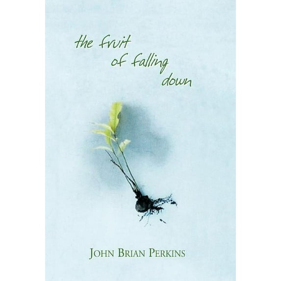 The Fruit of Falling Down (Hardcover)