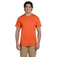 thumbnail image 1 of The Fruit of the Loom Adult 5 oz HD Cotton T-Shirt - BURNT ORANGE - M, 1 of 2