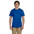 thumbnail image 1 of The Fruit of the Loom Adult 5 oz HD Cotton T-Shirt - ROYAL - L, 1 of 3