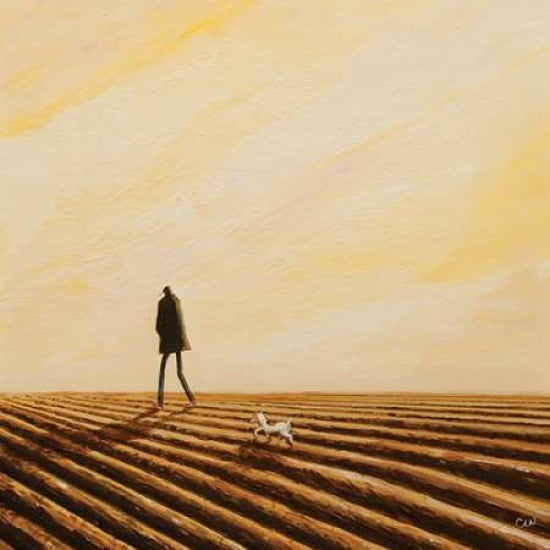 The Furrows Canvas Art - Chris Williamson (24 x 24)