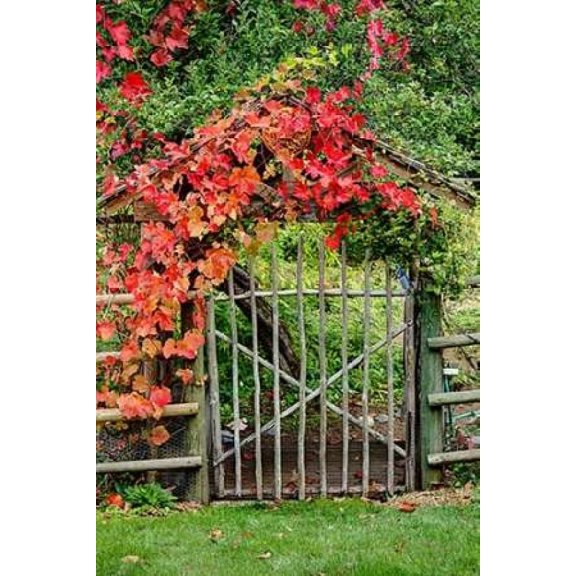 The Garden Gate Poster Print by George Johnson (10 x 14)