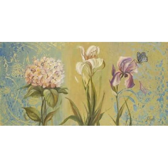 The Garden II Poster Print by Patricia Pinto (24 x 48)