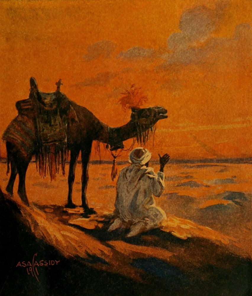 The Garden of Allah 1911 Sunset with camel Canvas Art - Asa Cassidy (18 x 24)