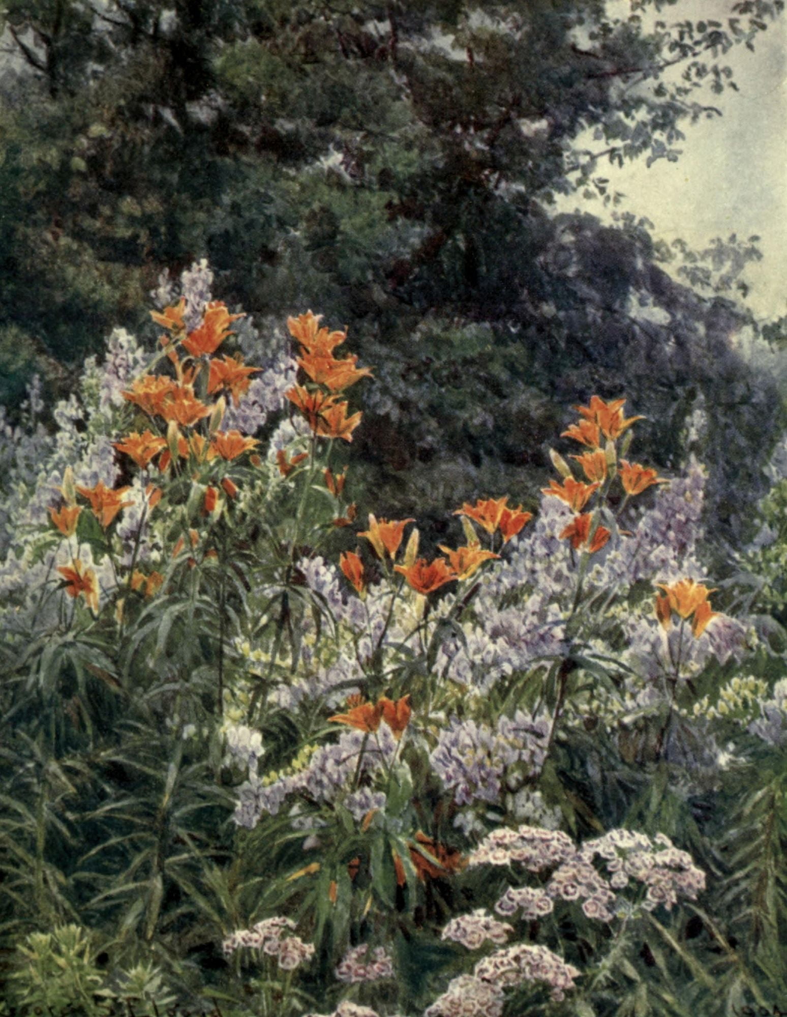 The Garden that I Love 1906 Orange Lily & Monkshood Canvas Art - George S Elgood (18 x 24)