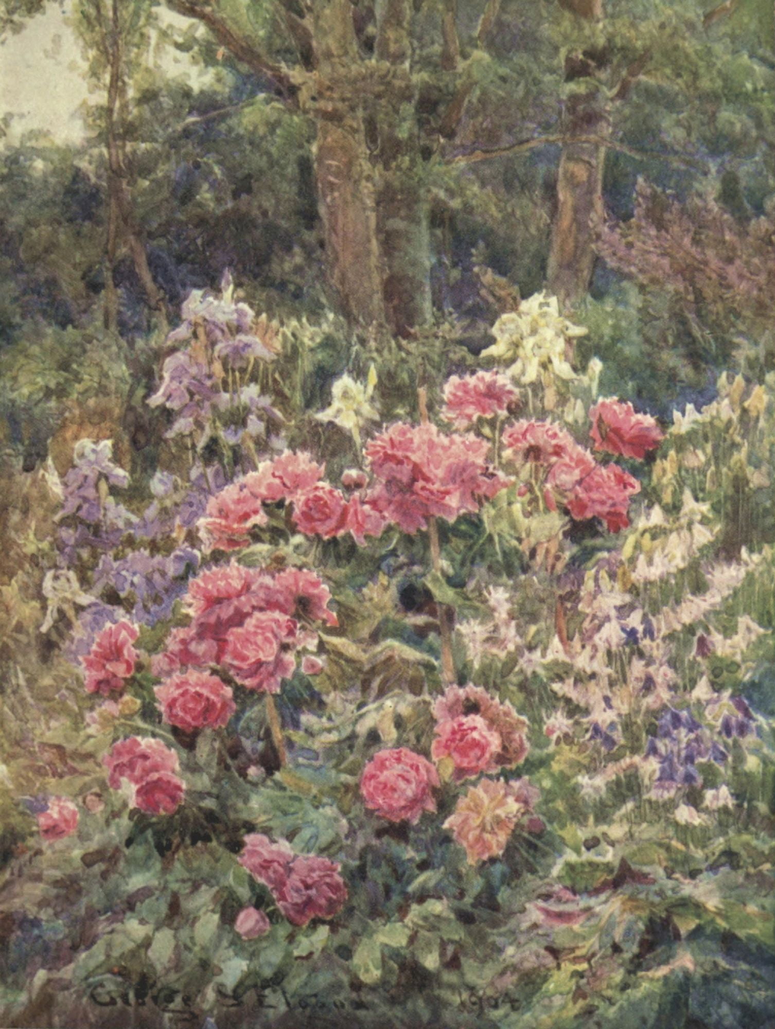 The Garden that I Love 1906 Peonies & Iris Canvas Art - George S Elgood (24 x 36)