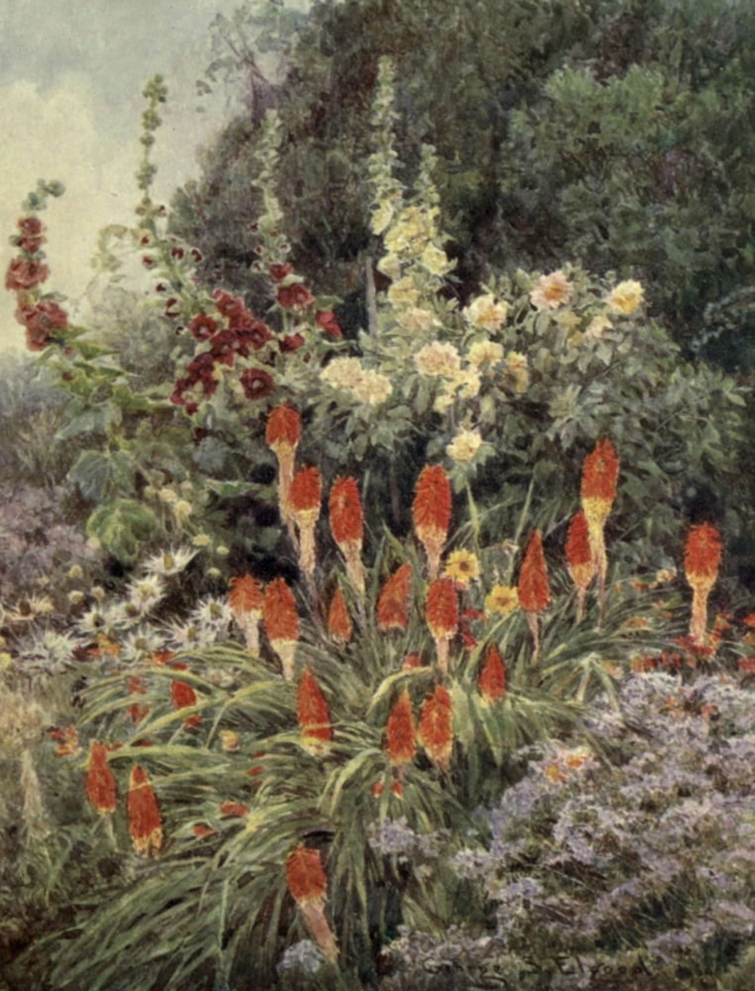 The Garden that I Love 1906 Torch Lily Canvas Art - George S Elgood (24 x 36)