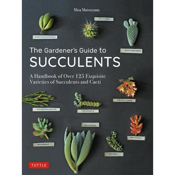 The Gardener's Guide to Succulents: A Handbook of Over 125 Exquisite Varieties of Succulents and Cacti, (Hardcover)