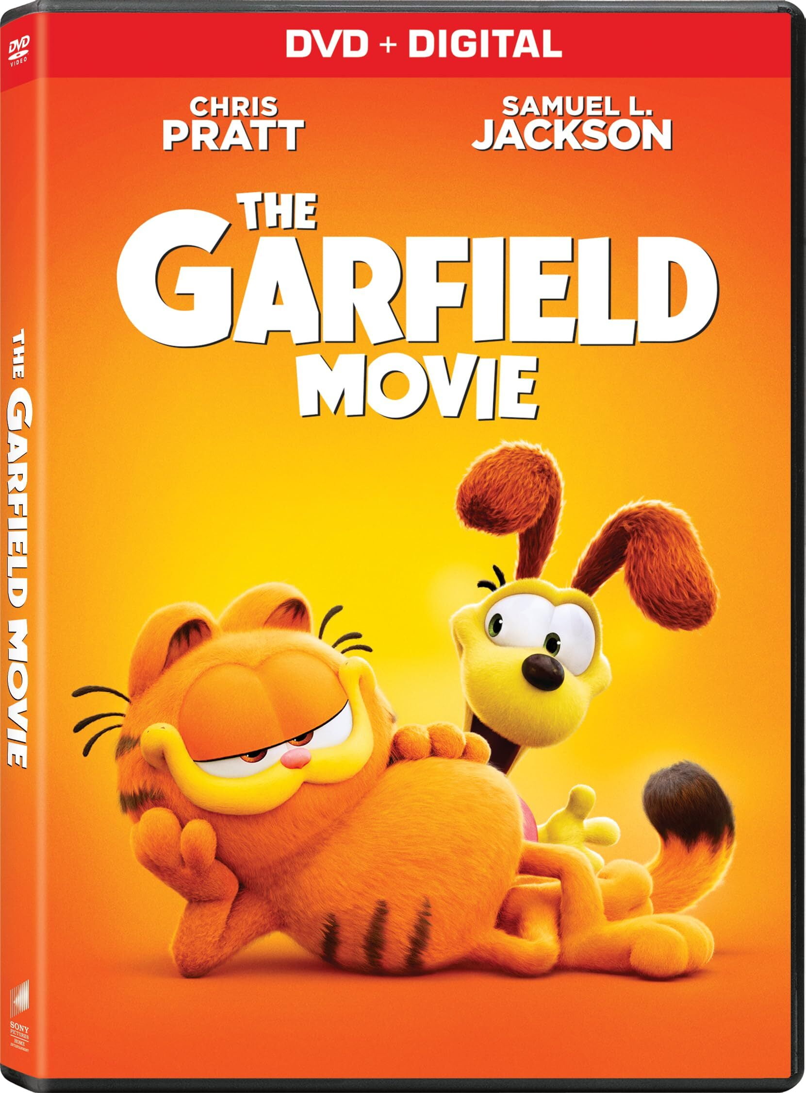 The Garfield Movie (DVD + Digital) Sony Family