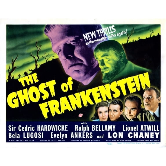 The Ghost Of Frankenstein Still (10 x 8)