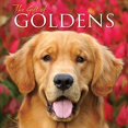 thumbnail image 1 of Pre-Owned The Gift of Goldens (Hardcover) 1607554860 9781607554868, 1 of 1