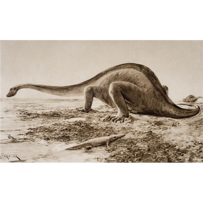 The Giganotosaurus Disinterred From Rocks 1912 From A Reconstruction ...