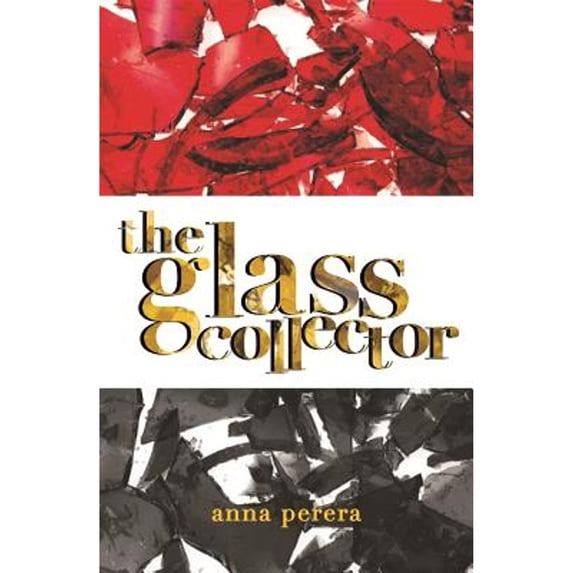 Pre-Owned The Glass Collector (Hardcover) 0807529486 9780807529485