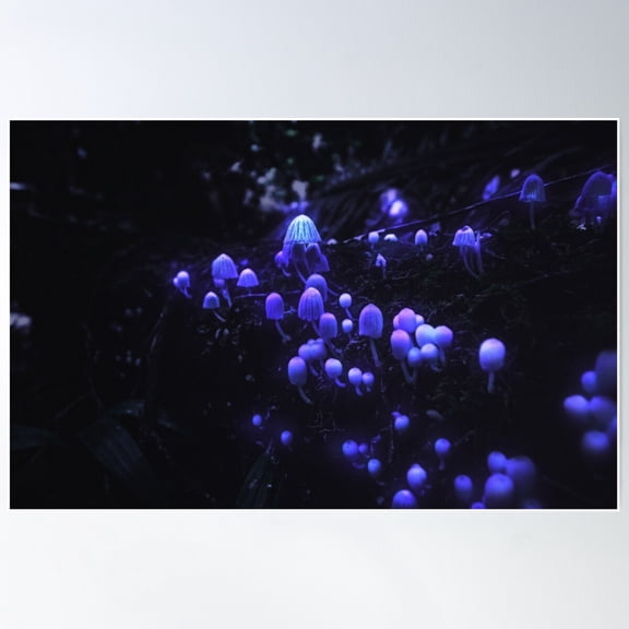 The Glowing Mushrooms Poster Wall Art, Modern Wall Decor For Living Room Bedroom, 8x12 UNFRAMED