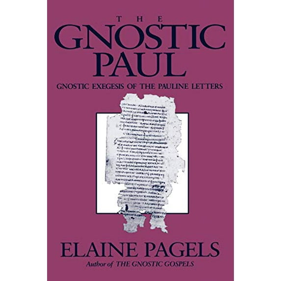 Pre-Owned Gnostic Paul: Gnostic Exegesis of the Pauline Letters (Paperback) 1563380390 9781563380396