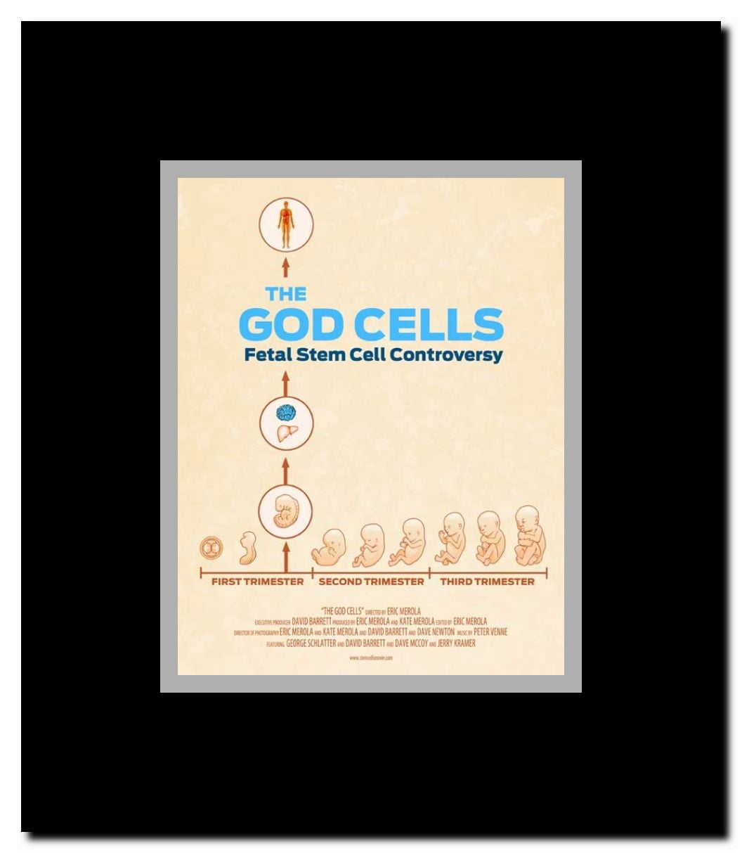The God Cells Framed Movie Poster