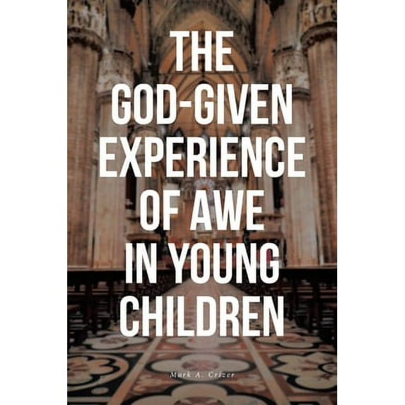 Pre-Owned The God-Given Experience of Awe in Young Children (Paperback) 1644685310 9781644685310