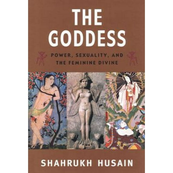 Pre-Owned The Goddess: Power, Sexuality, and the Feminine Divine (Paperback) 047208934X 9780472089345