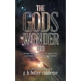 thumbnail image 1 of The Gods Wonder Too: Musings From Out of the Ether, (Paperback), 1 of 1