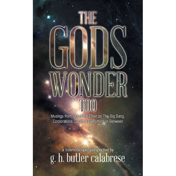 The Gods Wonder Too: Musings From Out of the Ether, (Paperback)