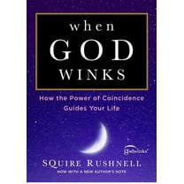 Godwink When God Winks: How the Power of Coincidence Guides Your Life, Book 1, (Paperback)