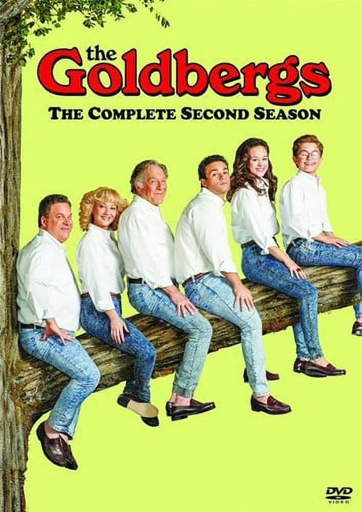 The Goldbergs: The Complete Second Season (DVD)