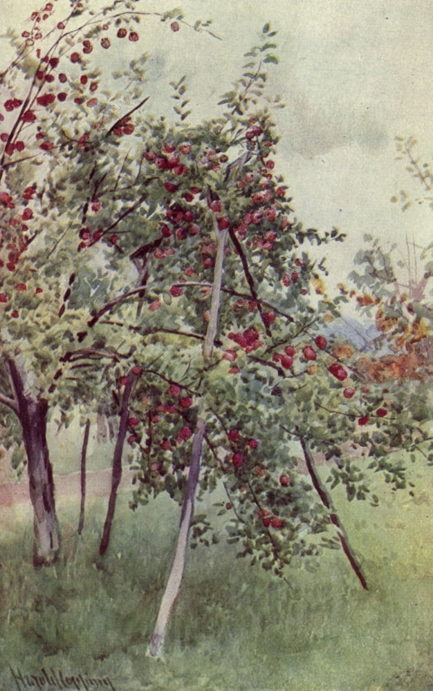 The Golden Land 1912 Northern Spy Canvas Art - H Copping (18 x 24)