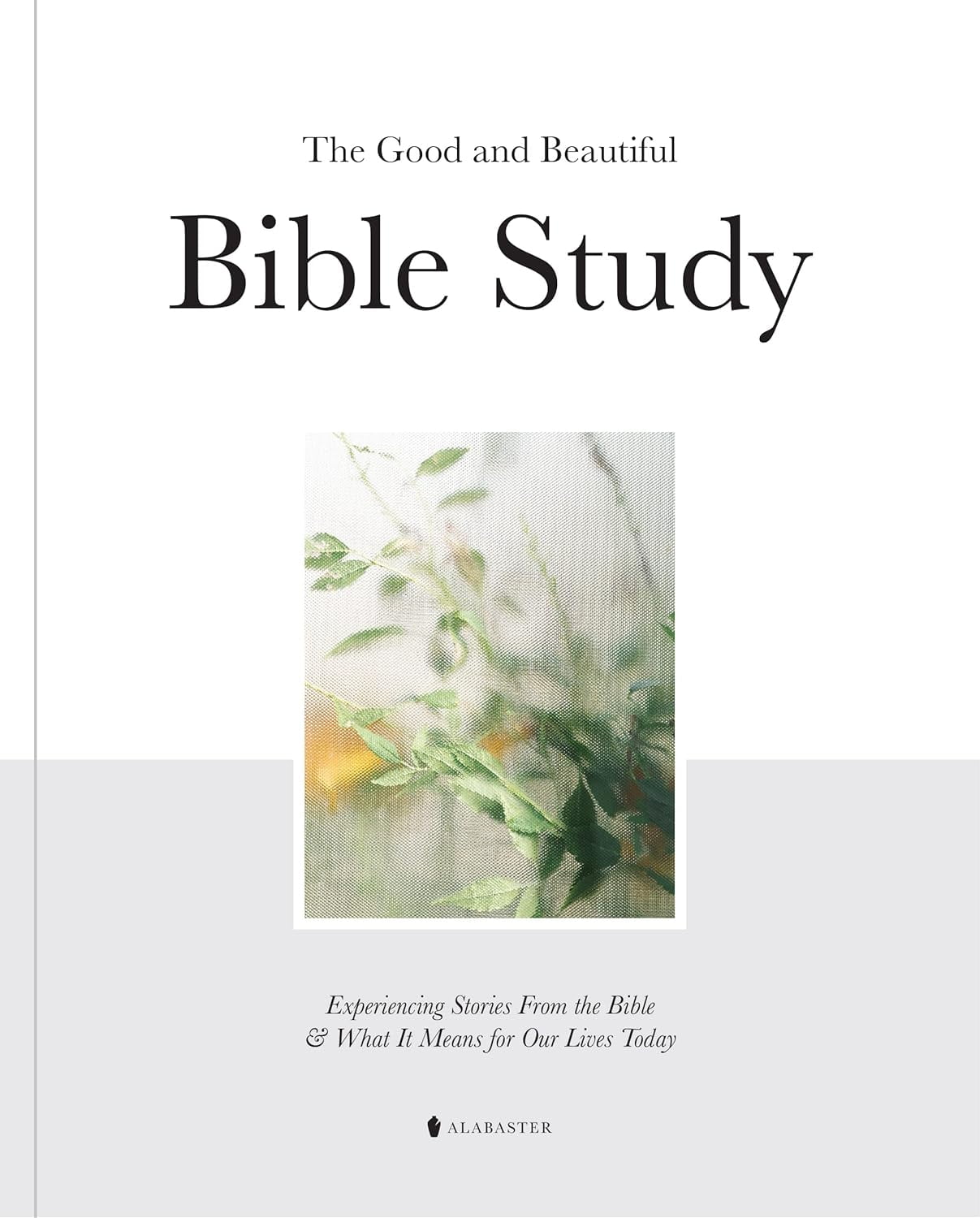 The Good And Beautiful Bible Study Bible Study Book Bible Study The