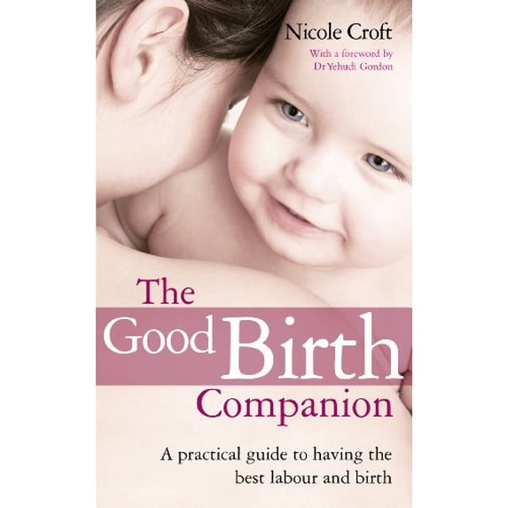 Pre-Owned Good Birth Companion: Your Essential Guide to Having the Best Labour and Birth (Paperback) 0091935504 9780091935504