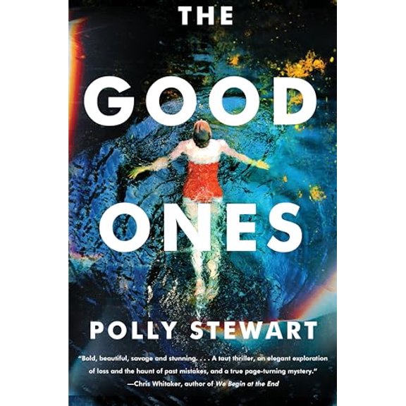 Pre-Owned The Good Ones (Paperback) 0063234165 9780063234161