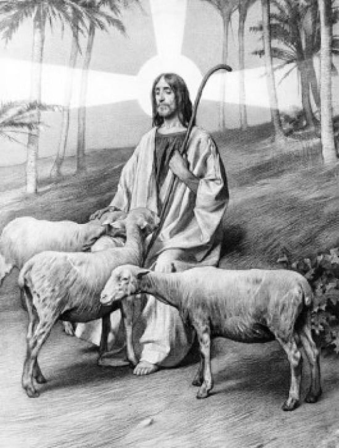 The Good Shepherd by Tito Lessi 1858-1917 Canvas Art - Tito Lessi (18 x 24)