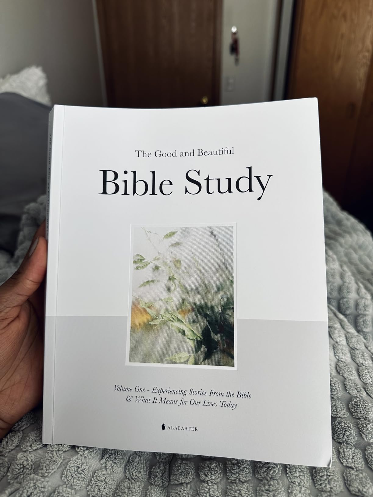 The Good and Beautiful Bible Study The Quest for Meaning and Purpose