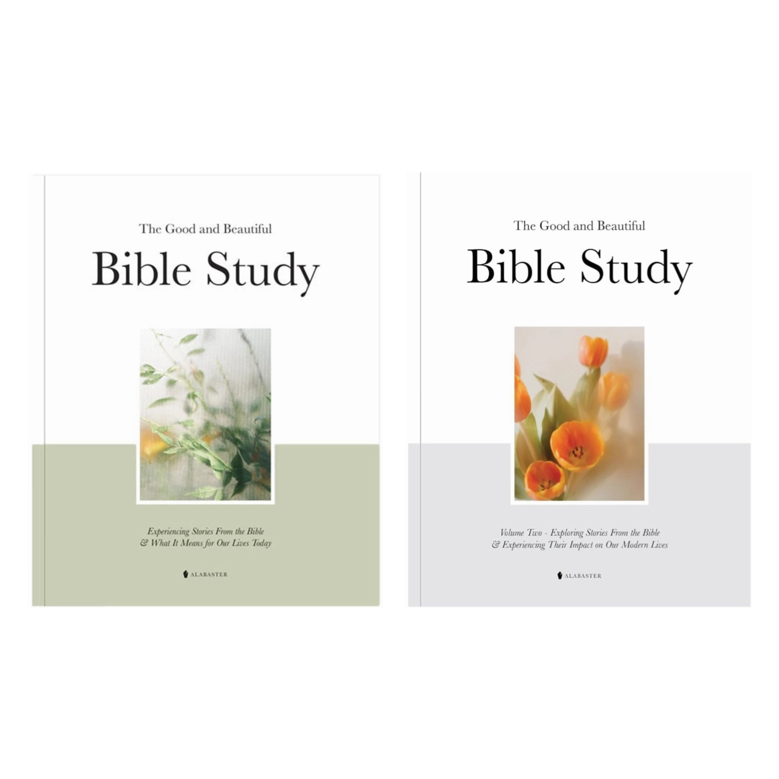 The good and beautiful bible study volume 1 2 a visually stunning
