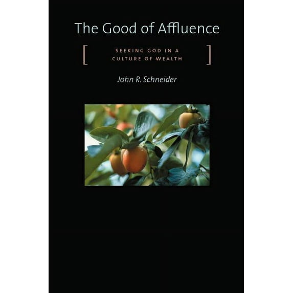 The Good of Affluence: Seeking God in a Culture of Wealth Paperback
