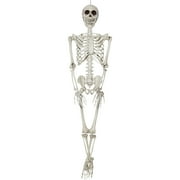 Plastic Realistic Skeleton Halloween Decoration