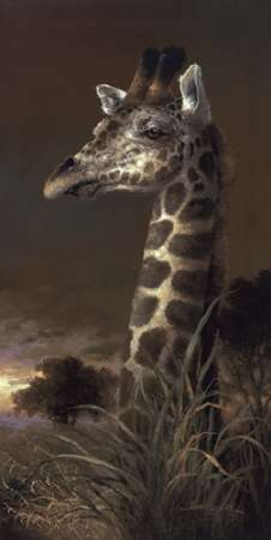 The Graceful One Canvas Art - James Lee (10 x 20)