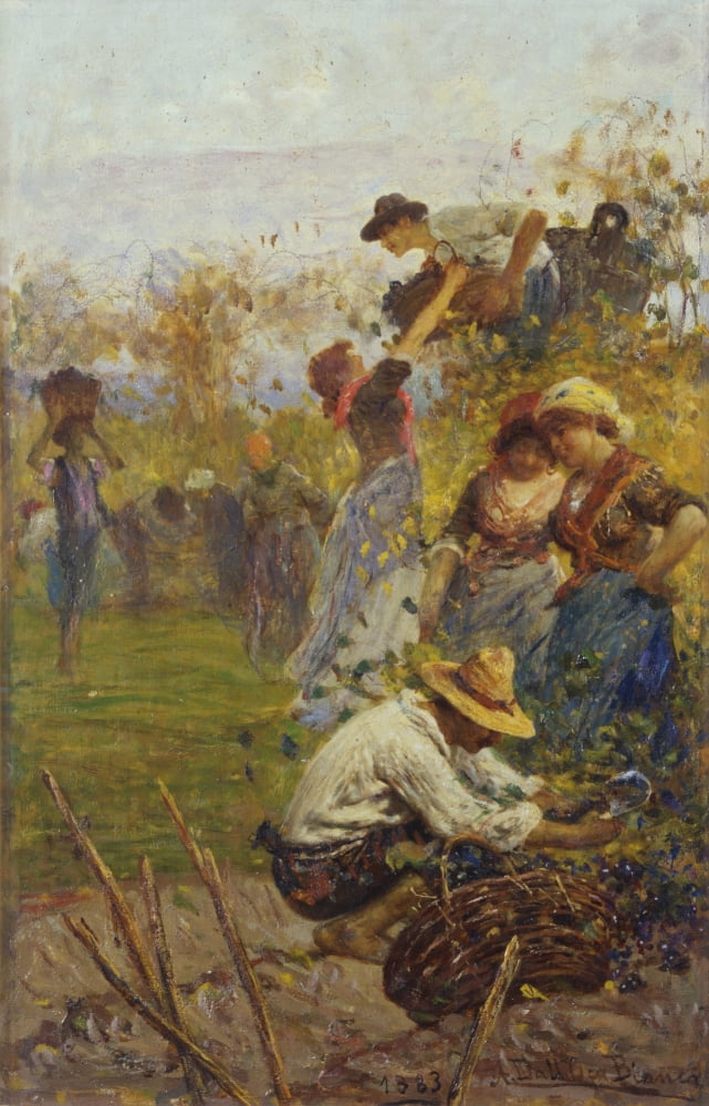 The Grape Harvest Canvas Art -  (24 x 36)