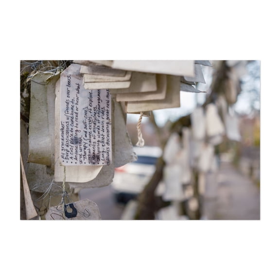 The Gratitude Tree - Portland Oregon Photography Quote Street Photography Reading Inspirational Unframed Wall Art Print 20 x 28 inches