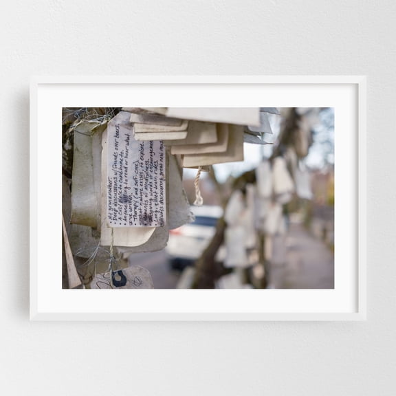 The Gratitude Tree - Portland Oregon Photography Quote Street Photography Reading Inspirational White Framed Wall Art Print 20 x 30 inches