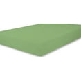 thumbnail image 1 of The Great American Store 600 Thread Count 100% Cotton Solid Flat Sheet (Pack of 1, Twin, Sage)- Top Sheets - Durable Quality - Luxury Bedding, 1 of 5
