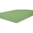 thumbnail image 1 of The Great American Store BACK TO SCHOOL COLLECTION 1800 Series Microfiber Solid 1PC Fitted Sheet For Dorm Bed (Twin, Sage) - 1800 Series Microfiber - For Boys & Girls, 1 of 3