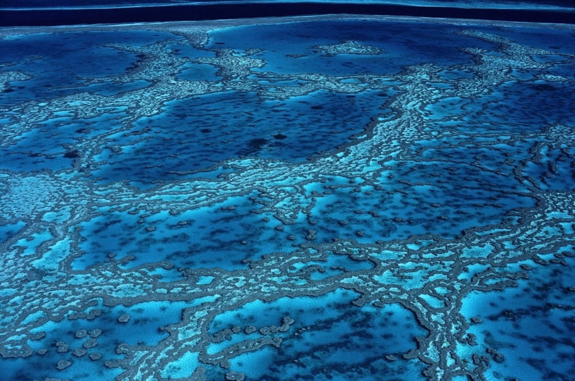 The Great Barrier Reef High Angle View Canvas Art - Michael Coyne Design Pics (17 x 11)
