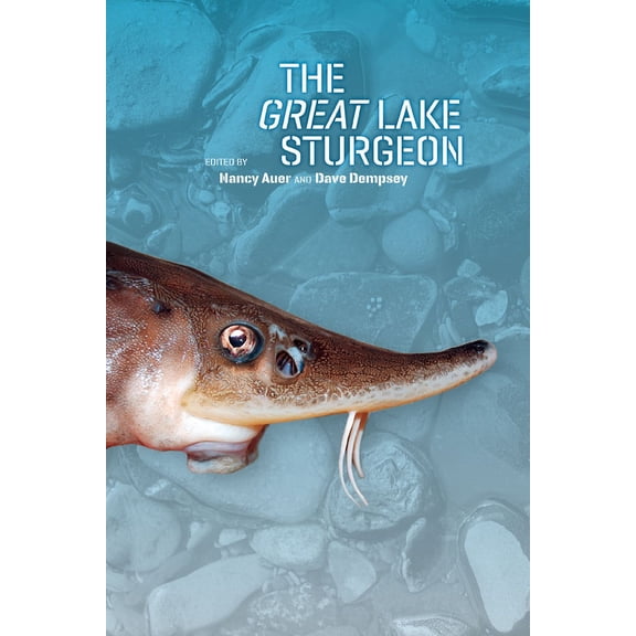 The Great Lake Sturgeon (Paperback)